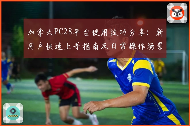 加拿大PC28平台使用技巧分享：新用户快速上手指南及日常操作场景解析
