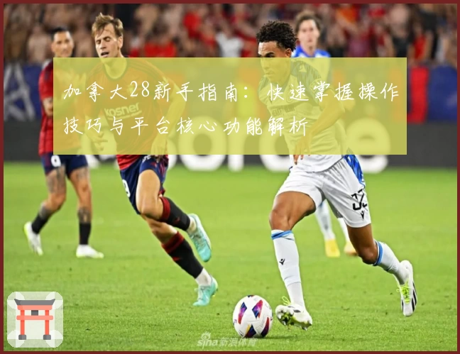 加拿大28新手指南:快速掌握操作技巧与平台核心功能解析