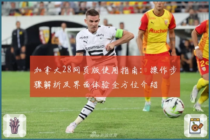 加拿大28网页版使用指南：操作步骤解析及界面体验全方位介绍