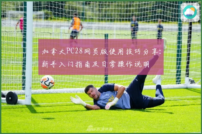 加拿大PC28网页版使用技巧分享：新手入门指南及日常操作说明