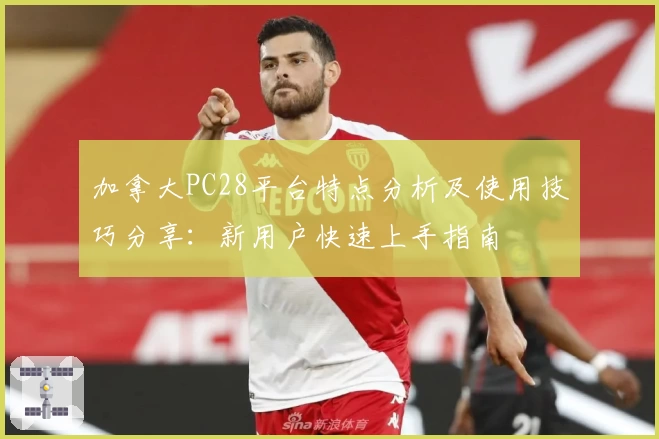 加拿大PC28平台特点分析及使用技巧分享：新用户快速上手指南