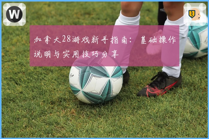 加拿大28游戏新手指南:基础操作说明与实用技巧分享