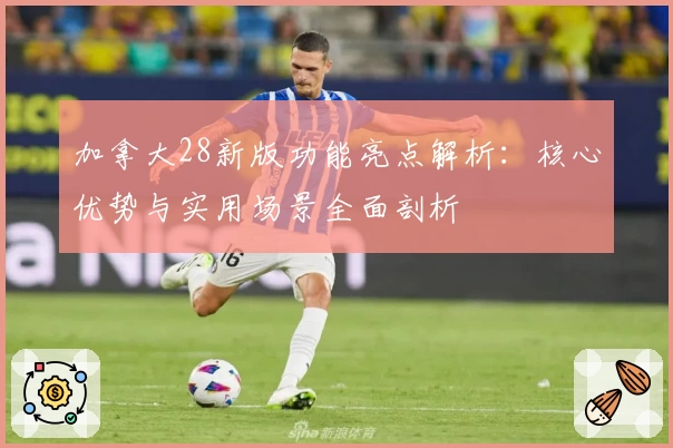 加拿大28新版功能亮点解析：核心优势与实用场景全面剖析