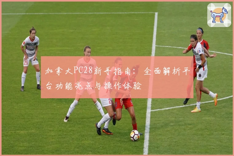 加拿大PC28新手指南:全面解析平台功能亮点与操作体验