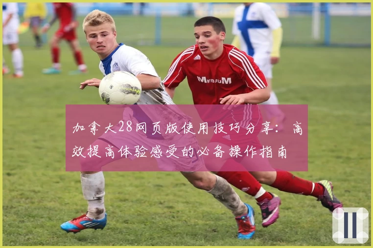 加拿大28网页版使用技巧分享：高效提高体验感受的必备操作指南