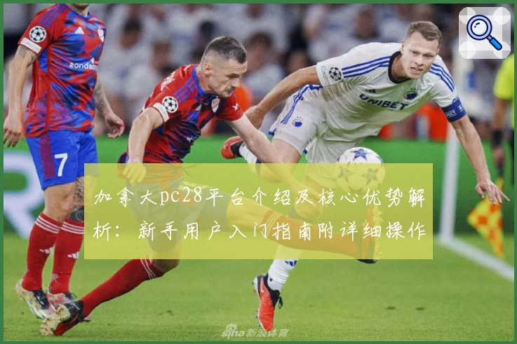 加拿大pc28平台介绍及核心优势解析：新手用户入门指南附详细操作步骤