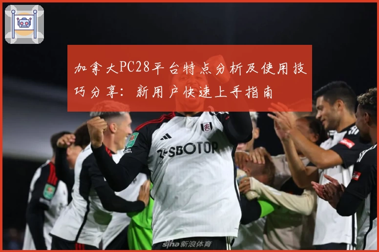 加拿大PC28平台特点分析及使用技巧分享：新用户快速上手指南