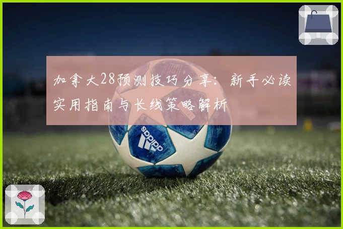 加拿大28预测技巧分享：新手必读实用指南与长线策略解析