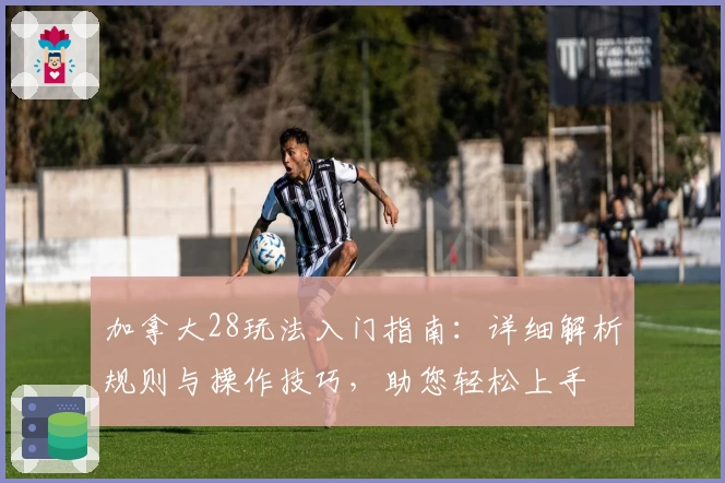 加拿大28玩法入门指南：详细解析规则与操作技巧，助您轻松上手