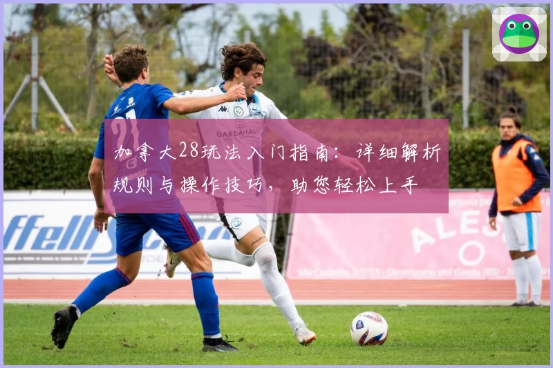 加拿大28玩法入门指南：详细解析规则与操作技巧，助您轻松上手